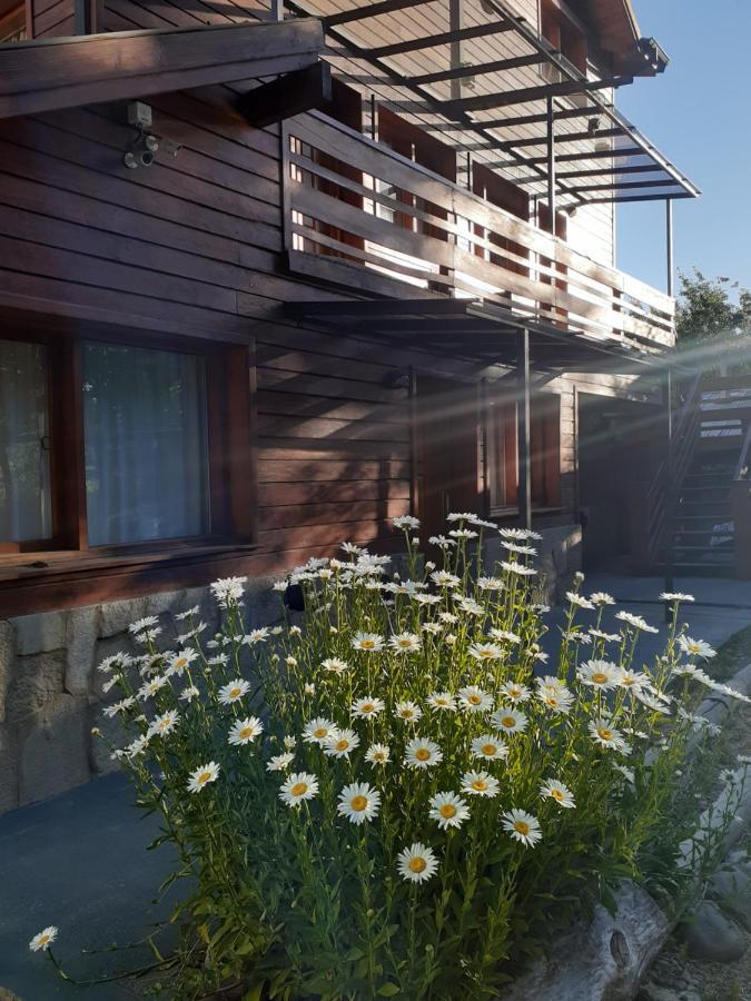Departamentos Mirador Del Maipu Διαμέρισμα San Martín de los Andes Εξωτερικό φωτογραφία