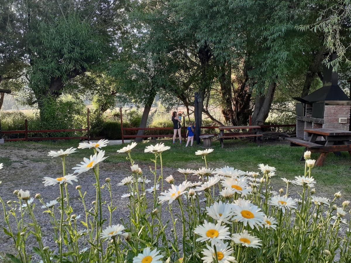 Departamentos Mirador Del Maipu Διαμέρισμα San Martín de los Andes Εξωτερικό φωτογραφία
